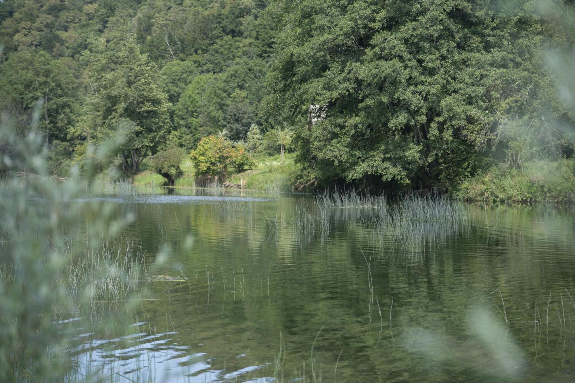 Kuca Za Odmor Casa Huerta Villa Frketic Selo Luaran gambar